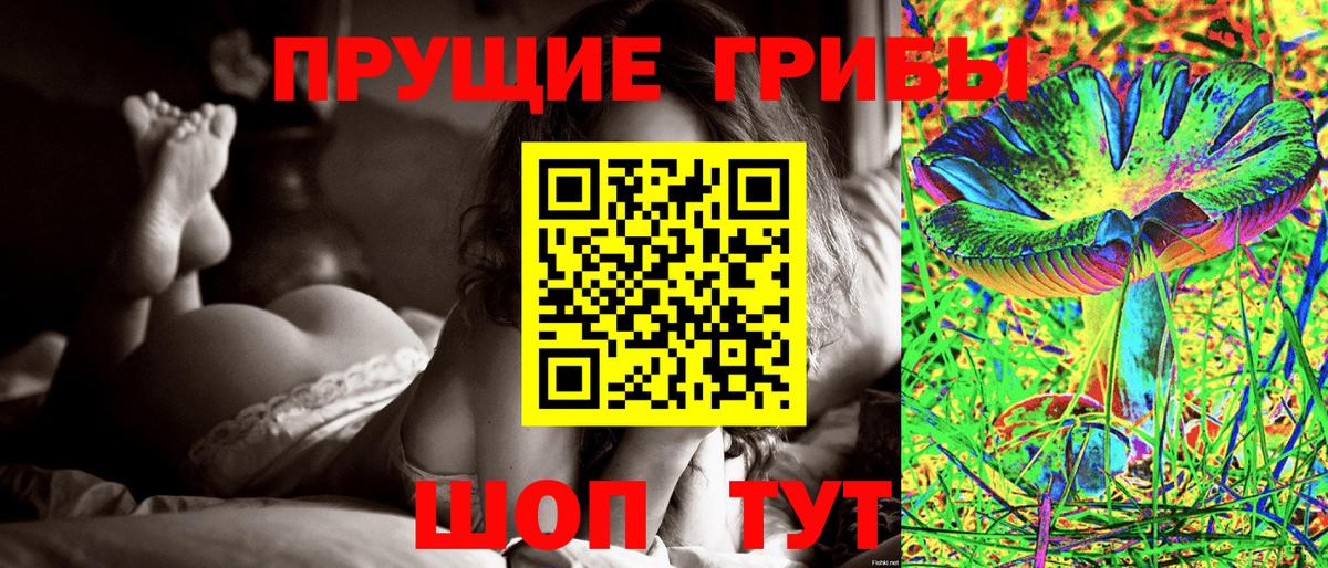 Карачаевск  Галлюциногенные грибы мицелий  Вход с VPN  Галлюциногенные грибы Cubensis 